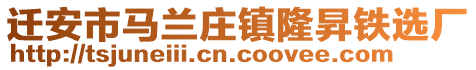 遷安市馬蘭莊鎮(zhèn)隆昇鐵選廠