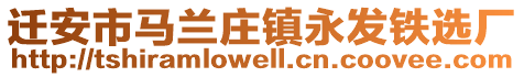 遷安市馬蘭莊鎮(zhèn)永發(fā)鐵選廠