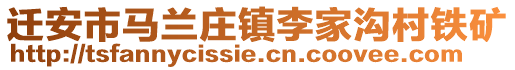 遷安市馬蘭莊鎮(zhèn)李家溝村鐵礦