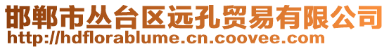 邯鄲市叢臺(tái)區(qū)遠(yuǎn)孔貿(mào)易有限公司