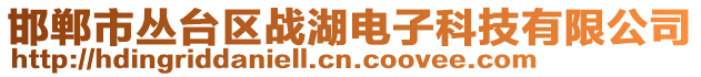 邯鄲市叢臺(tái)區(qū)戰(zhàn)湖電子科技有限公司