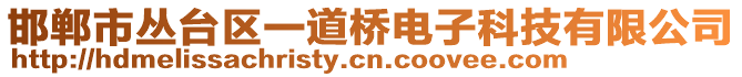 邯鄲市叢臺區(qū)一道橋電子科技有限公司