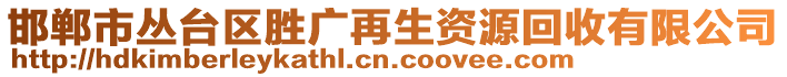 邯鄲市叢臺區(qū)勝廣再生資源回收有限公司