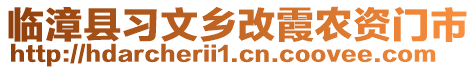 临漳县习文乡改霞农资门市