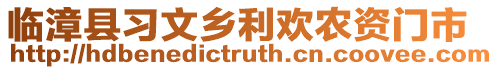 臨漳縣習文鄉(xiāng)利歡農(nóng)資門市