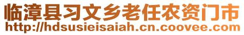 臨漳縣習(xí)文鄉(xiāng)老任農(nóng)資門市