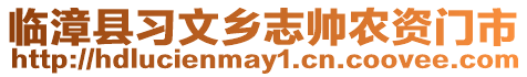 臨漳縣習文鄉(xiāng)志帥農(nóng)資門市