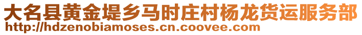 大名县黄金堤乡马时庄村杨龙货运服务部