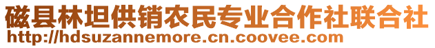 磁县林坦供销农民专业合作社联合社