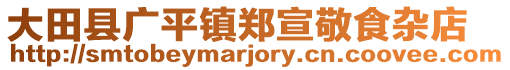 大田县广平镇郑宣敬食杂店