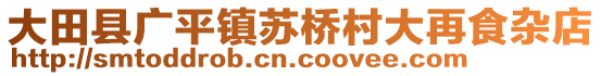 大田縣廣平鎮(zhèn)蘇橋村大再食雜店