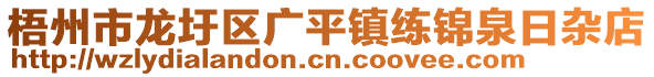 梧州市龍圩區(qū)廣平鎮(zhèn)練錦泉日雜店