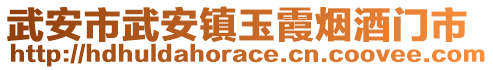 武安市武安鎮(zhèn)玉霞煙酒門市