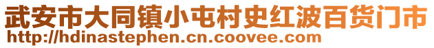 武安市大同鎮(zhèn)小屯村史紅波百貨門市