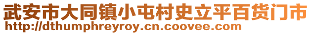 武安市大同鎮(zhèn)小屯村史立平百貨門市