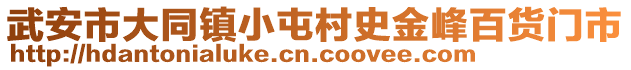 武安市大同鎮(zhèn)小屯村史金峰百貨門市