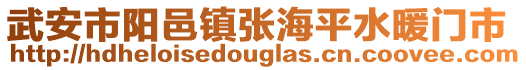 武安市陽邑鎮(zhèn)張海平水暖門市