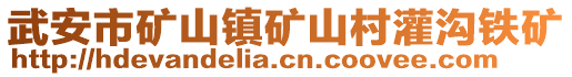 武安市礦山鎮(zhèn)礦山村灌溝鐵礦