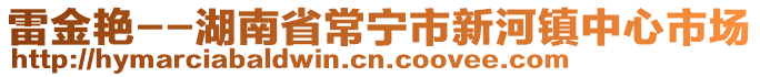 雷金艷--湖南省常寧市新河鎮(zhèn)中心市場