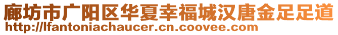 廊坊市廣陽區(qū)華夏幸福城漢唐金足足道