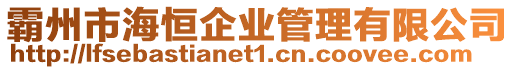 霸州市海恒企業(yè)管理有限公司