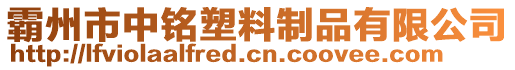 霸州市中銘塑料制品有限公司