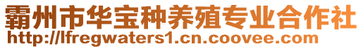 霸州市華寶種養(yǎng)殖專業(yè)合作社