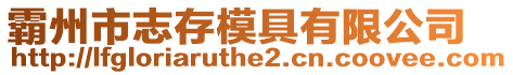 霸州市志存模具有限公司