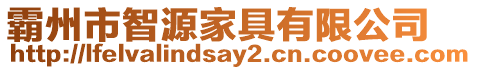 霸州市智源家具有限公司