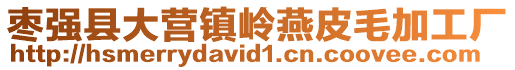 棗強縣大營鎮嶺燕皮毛加工廠