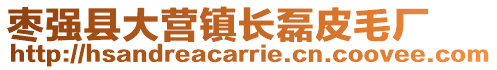 棗強縣大營鎮長磊皮毛廠