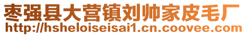 棗強(qiáng)縣大營鎮(zhèn)劉帥家皮毛廠