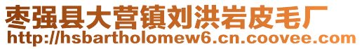 棗強(qiáng)縣大營鎮(zhèn)劉洪巖皮毛廠