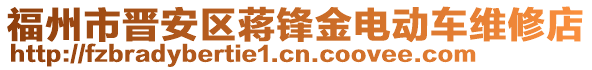 福州市晉安區(qū)蔣鋒金電動車維修店