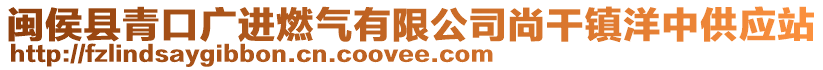 闽侯县青口广进燃气有限公司尚干镇洋中供应站