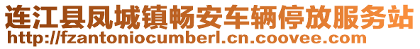 連江縣鳳城鎮(zhèn)暢安車輛停放服務站