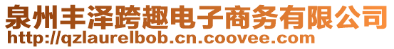 泉州豐澤跨趣電子商務有限公司