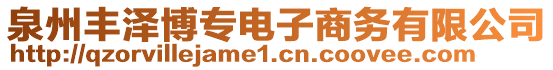 泉州豐澤博專電子商務(wù)有限公司