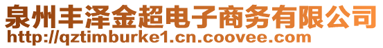 泉州豐澤金超電子商務(wù)有限公司