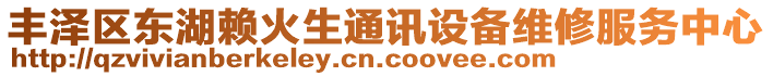 豐澤區(qū)東湖賴火生通訊設(shè)備維修服務(wù)中心