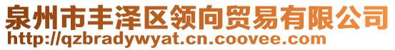 泉州市豐澤區(qū)領(lǐng)向貿(mào)易有限公司