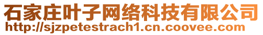 石家莊葉子網(wǎng)絡(luò)科技有限公司