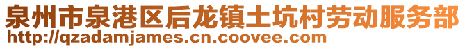 泉州市泉港区后龙镇土坑村劳动服务部