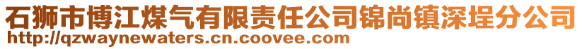 石獅市博江煤氣有限責(zé)任公司錦尚鎮(zhèn)深埕分公司