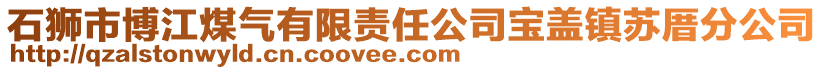 石獅市博江煤氣有限責任公司寶蓋鎮(zhèn)蘇厝分公司