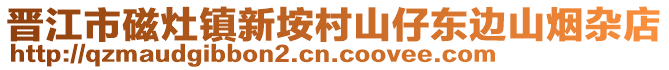 晉江市磁灶鎮(zhèn)新垵村山仔東邊山煙雜店