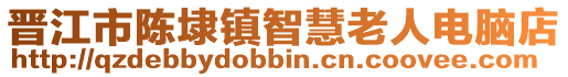 晉江市陳埭鎮智慧老人電腦店