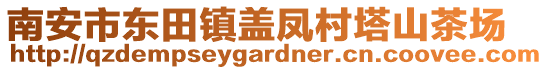 南安市東田鎮蓋鳳村塔山茶場