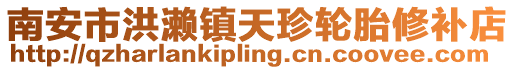 南安市洪瀨鎮天珍輪胎修補店
