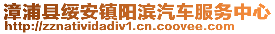 漳浦縣綏安鎮陽濱汽車服務中心